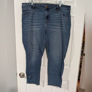 D. Jeans Medium Wash High Rise Skinny Denim Jeans in Size 20W